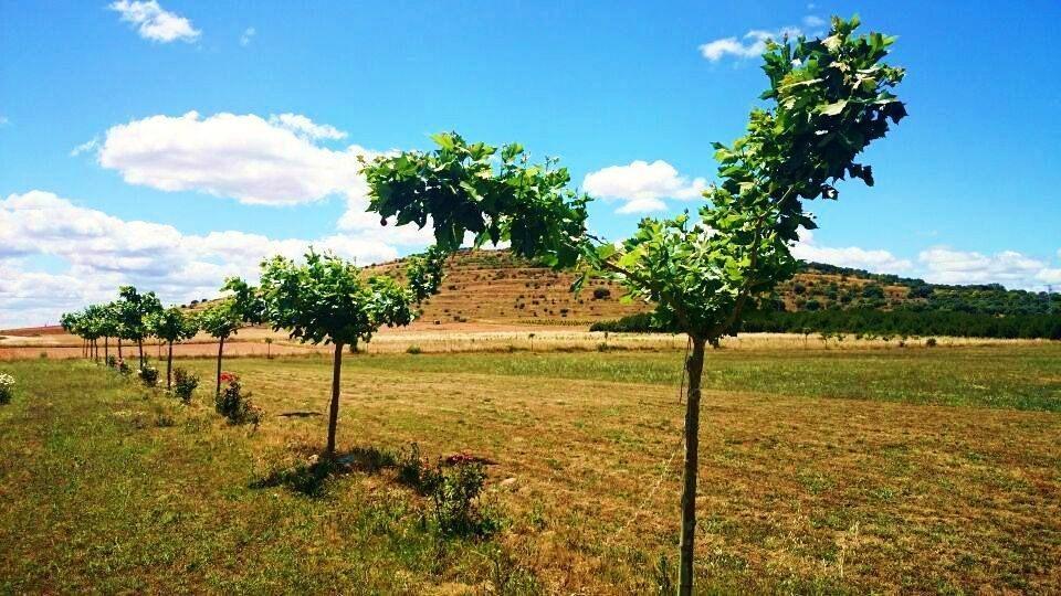 Las Mairas Fuente Encalada Dış mekan fotoğraf